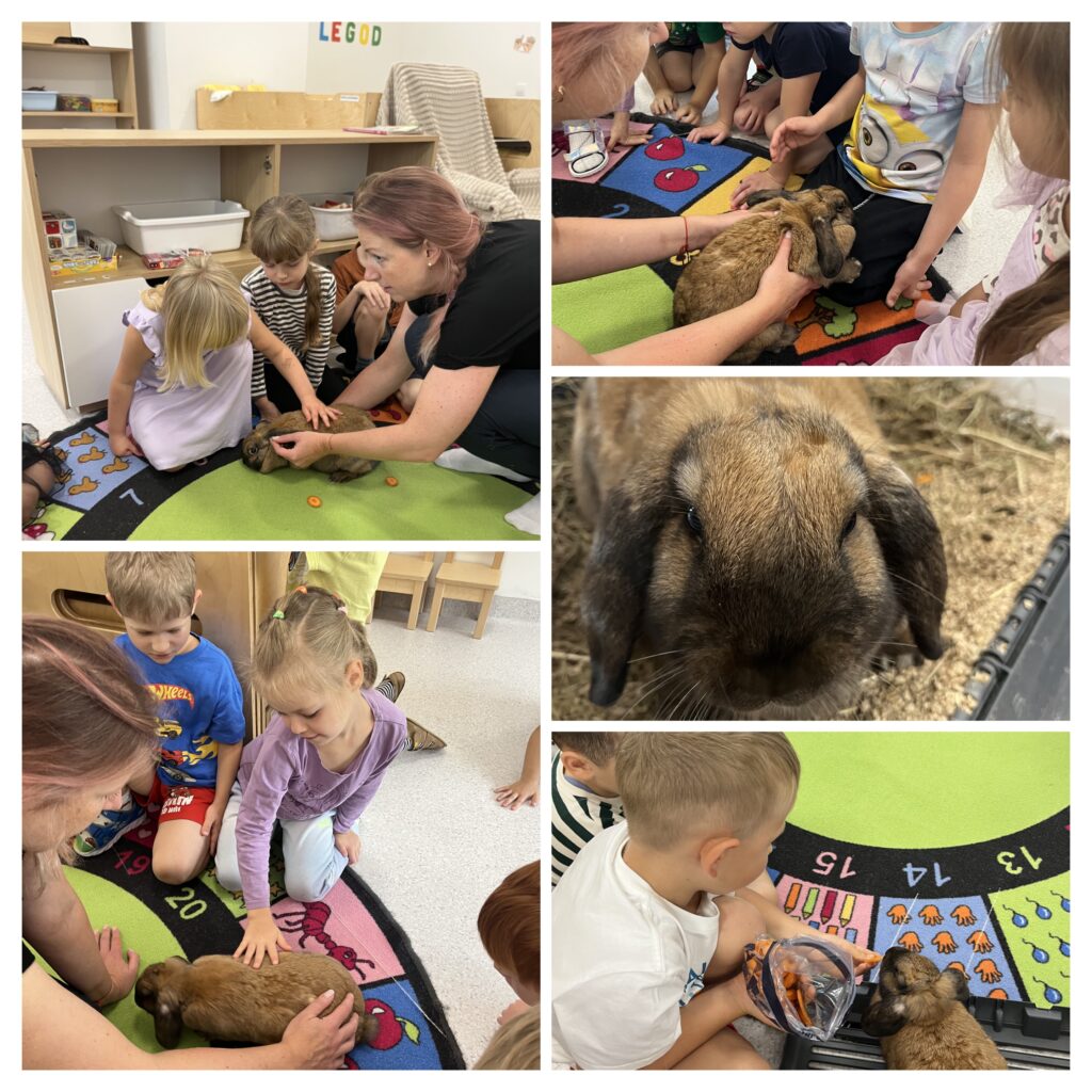 Tuulehobudes oli täna tore külaline🐇 – Liivamäe Lasteaed